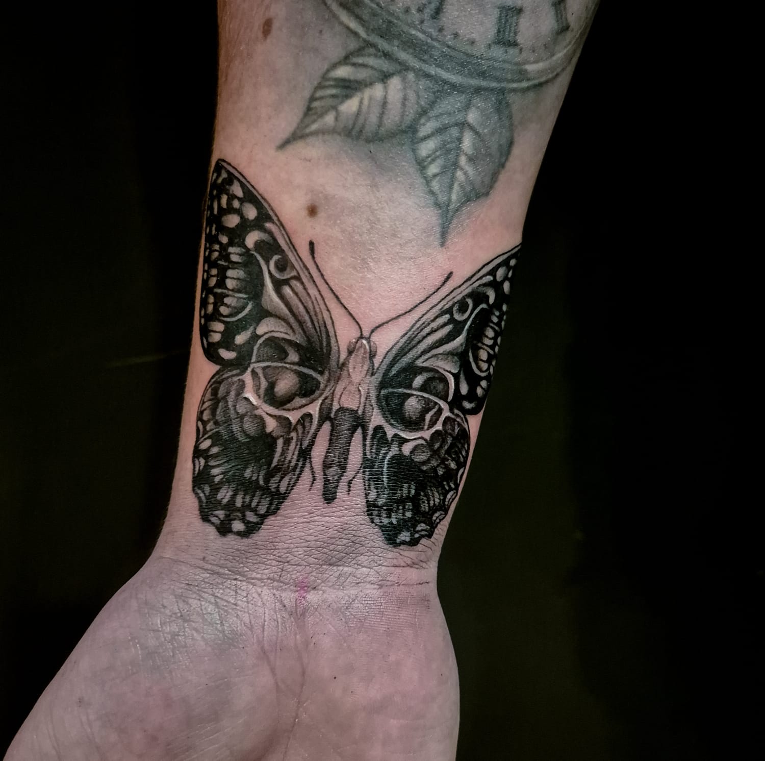 08865aae-fc7f-4615-915d-d7d0e3639c28